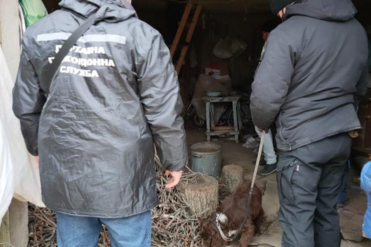 В Болградском районе пограничники совместно с полицейскими обнаружили наркотики и оружие 